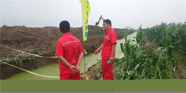 1627287505726675.jpg 6.jpg