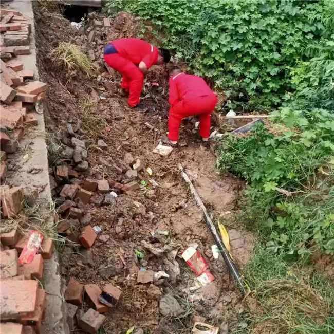 1627287845459003.jpg 16.jpg