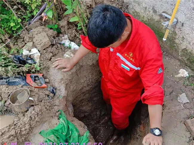 1629247950371161.jpg 1.jpg