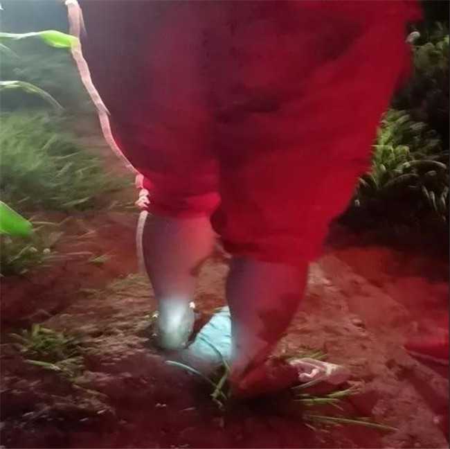 1629247957739670.jpg 2.jpg