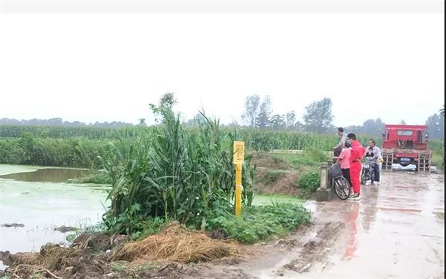 1630894773523434.jpg 2.jpg