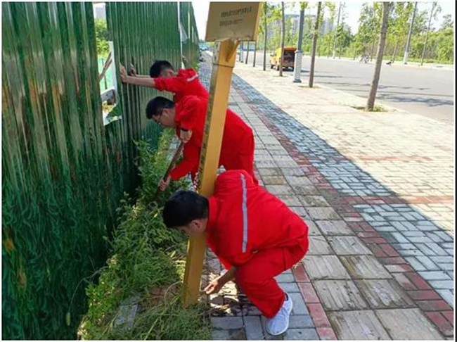 1632380453631099.jpg 5.jpg