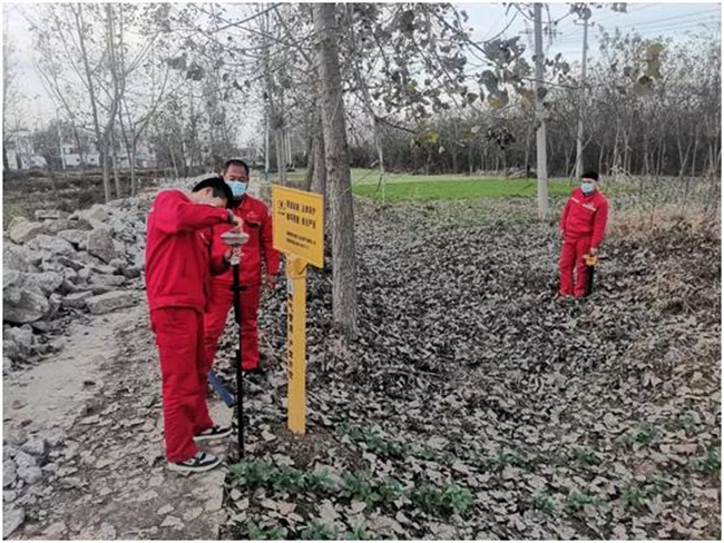 1637477022906959.jpg 3.jpg