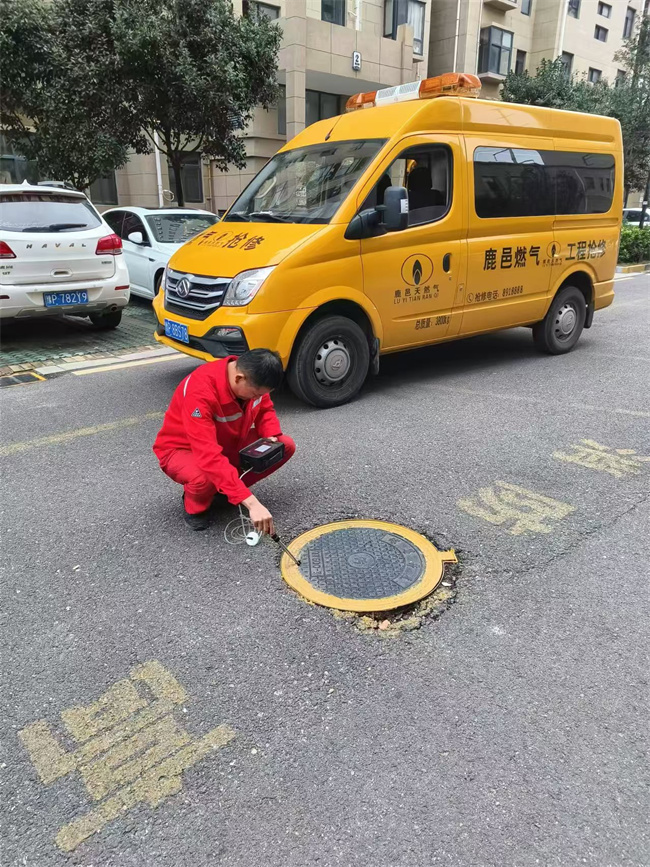 管網(wǎng)及設備巡查 (1).jpg