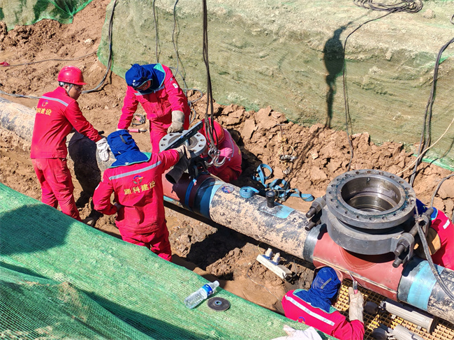 1744601731886370.jpg 2.jpg