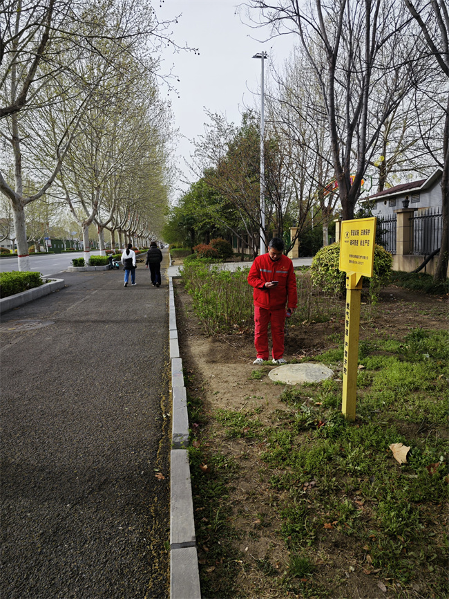 1745288483233916.jpg mtxx01.jpg