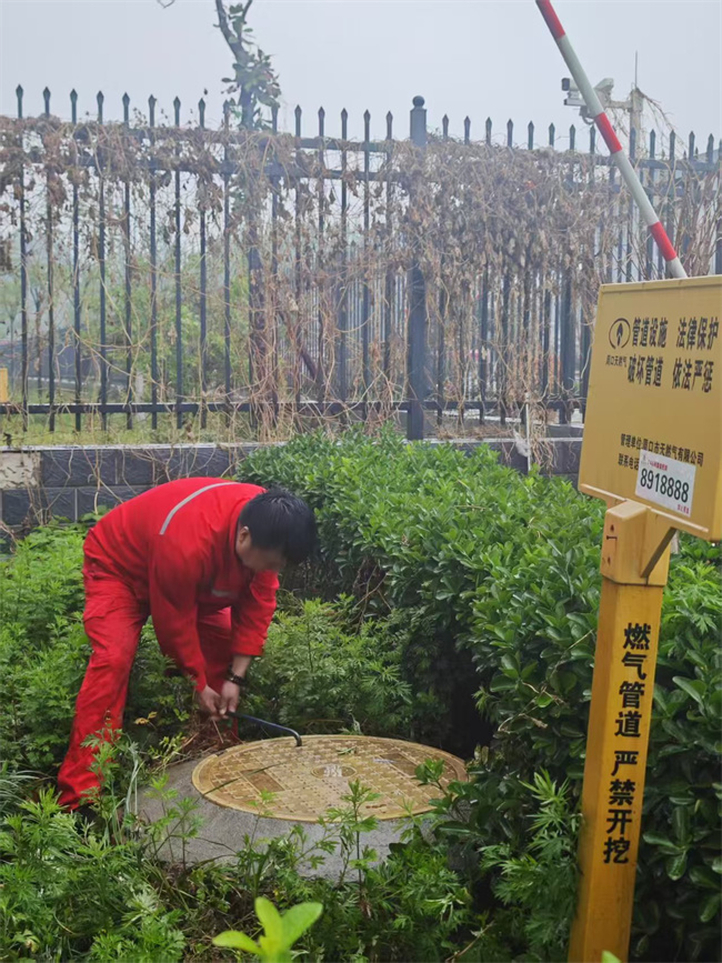 1745288556873149.jpg mtxx10.jpg